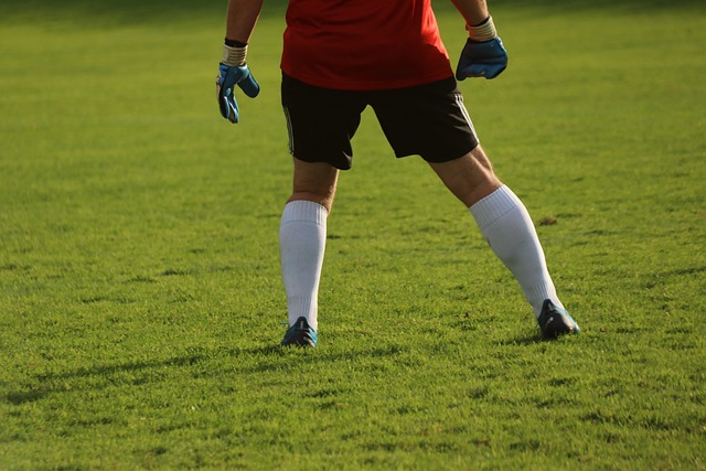 img2.jpg